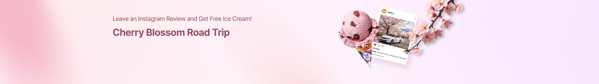 Cherry Blossom Road Trip with LOTTE Rent-a-Car🌸